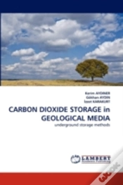 Capa do artigo Carbon Dioxide Storage In Geological Media