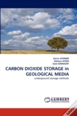 Capa do artigo Carbon Dioxide Storage In Geological Media