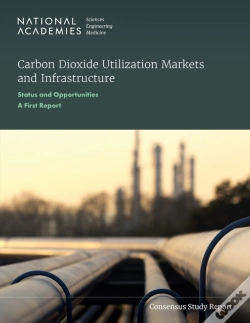 Capa do artigo Carbon Dioxide Utilization Markets And Infrastructure