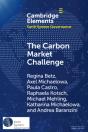 Carbon Market Challenge - Preview