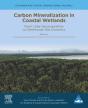 Carbon Mineralization In Coastal Wetlands - Preview