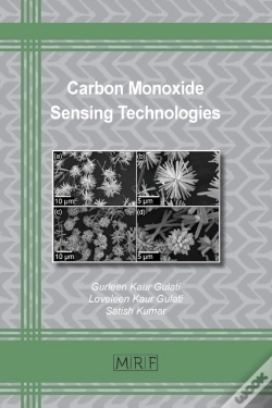 Capa do artigo Carbon Monoxide Sensing Technologies