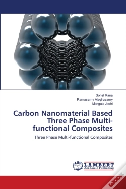 Capa do artigo Carbon Nanomaterial Based Three Phase Multi-Functional Composites