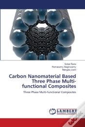Capa do artigo Carbon Nanomaterial Based Three Phase Multi-Functional Composites