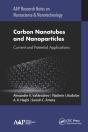 Carbon Nanotubes And Nanoparticles - Preview