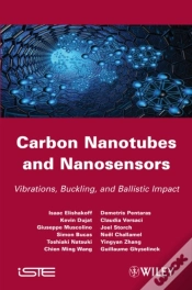 Capa do artigo Carbon Nanotubes And Nanosensors