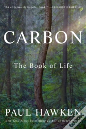 Capa do artigo Carbon
