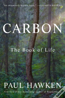 Capa do artigo Carbon