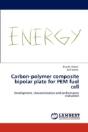 Carbon-Polymer Composite Bipolar Plate For Pem Fuel Cell - Preview