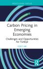 Carbon Pricing In Emerging Economies - Preview