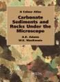 Carbonate Sediments And Rocks Under The Microscope - Preview
