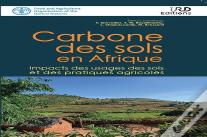 Carbone Des Sols En Afrique