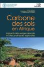 Carbone Des Sols En Afrique - Preview