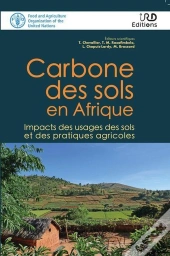 Carbone Des Sols En Afrique