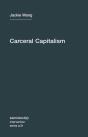 Carceral Capitalism - Preview