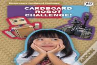 Cardboard Roller Coaster Challenge!