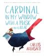 Cardinal In My Window With A Mask On Its Beak - Preview