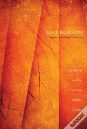 Capa do artigo Cardinal In The Eastern White Cedar