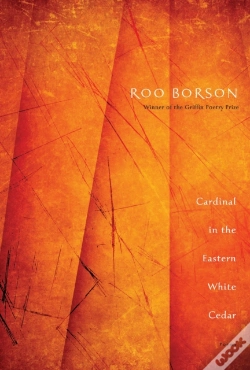 Capa do artigo Cardinal In The Eastern White Cedar