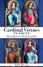 Cardinal Virtues In Focus - Preview