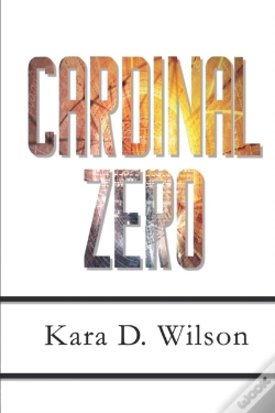 Capa do artigo Cardinal Zero