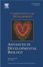 Cardiovascular Development - Preview