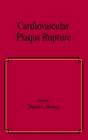 Cardiovascular Plaque Rupture - Preview