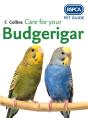Care For Your Budgerigar - Preview