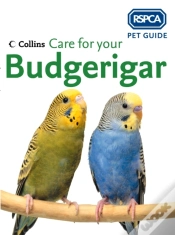 Capa do artigo Care For Your Budgerigar