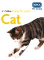 Care For Your Cat - Preview