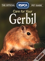 Capa do artigo Care For Your Gerbil