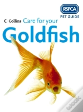 Care For Your Goldfish