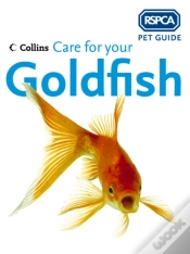 Capa do artigo Care For Your Goldfish