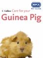 Care For Your Guinea Pig - Preview