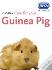 Capa do artigo Care For Your Guinea Pig