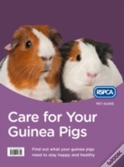 Capa do artigo Care For Your Guinea Pigs