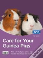 Care For Your Guinea Pigs