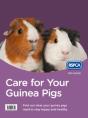 Care For Your Guinea Pigs - Preview