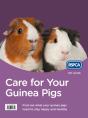 Care For Your Guinea Pigs - Preview
