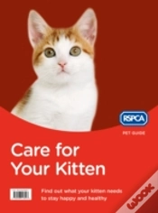 Capa do artigo Care For Your Kitten