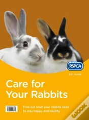 Capa do artigo Care For Your Rabbits