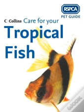 Care For Your Tropical Fish