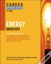 Capa do artigo Career Opportunities In The Energy Industry