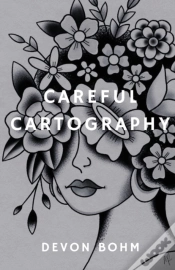 Capa do artigo Careful Cartography
