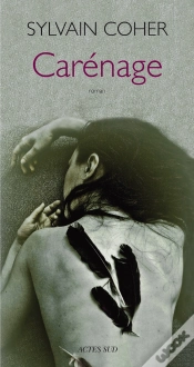 Capa do artigo Carénage