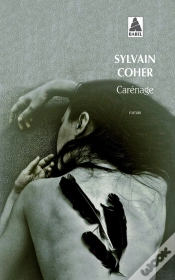 Capa do artigo Carénage