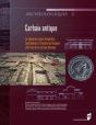 Carhaix Antique - Preview
