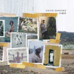 Capa do artigo Carib - Vinil