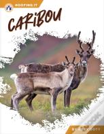 Caribou