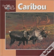 Capa do artigo Caribou